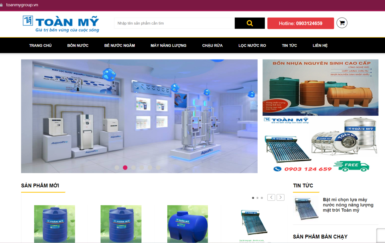 Website của Toàn Mỹ